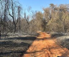 PÓS INCÊNDIO