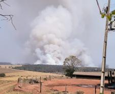 FUMAÇA EM MEIO AO CAMPO