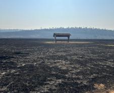 PÓS INCÊNDIO