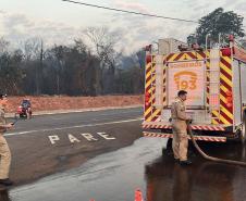 Foto de bombeiros combatendo incêndio