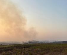 Foto de área queimada por incêndio