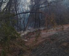 Foto de área queimada por incêndio
