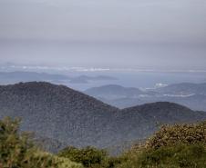 Foto de paisagem