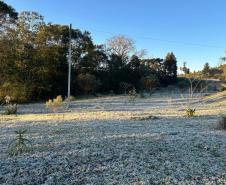 Foto de geada no Paraná