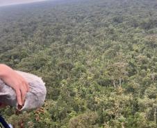 DISPERSÃO AÉREA DE SEMENTES