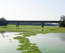 rio com ponte ao fundo