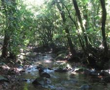 PAISAGEM