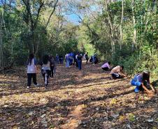CENAS DE EDUCAÇÃO AMBIENTAL E DISTRIBUIÇÃO DE MUDAS