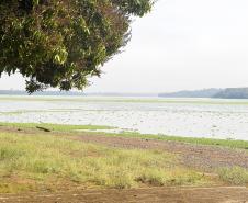 paisagem