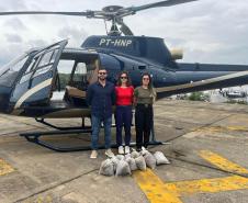 DISPERSÃO AÉREA DE SEMENTES