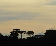 PAISAGEM