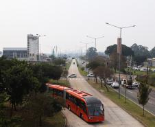 dia de calor