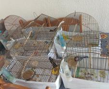 ANIMAIS EM CATIVEIRO