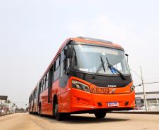 ônibus