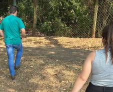 AGENTES DO IAT EM AÇÃO