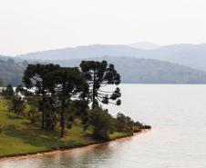 PAISAGENS