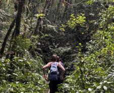 CENAS DE CONTATO COM A NATUREZA