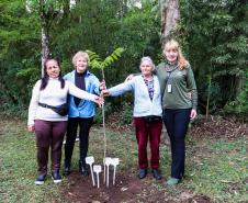 cenas do evento e de espécimes da flora