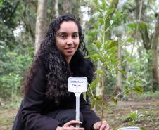 cenas do evento e de espécimes da flora