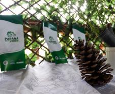cenas do evento e de espécimes da flora