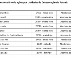 PÁSSAROS E DATAS