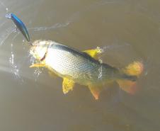 PESCA, RIO 
