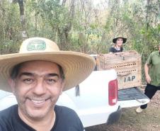 Instituto Água e Terra devolve capivara e gato-mourisco à natureza
