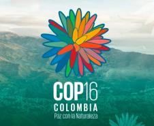 Com programas de preservação da biodiversidade, Governo do Paraná será protagonista na COP16, em Cali, na Colômbia