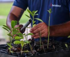 Com programas de preservação da biodiversidade, Governo do Paraná será protagonista na COP16, em Cali, na Colômbia