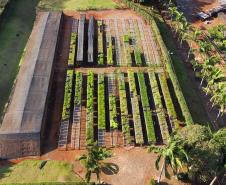 CAMPO E FRUTOS E VIVEIROS
