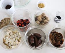 CAMPO E FRUTOS E VIVEIROS