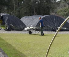 CAMPO E FRUTOS E VIVEIROS