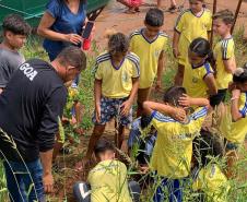 Ações elaboradas pelo IAT no Estado recuperaram mais de 6 hectares de mata ciliar em Áreas de Proteção Ambiental (APP)