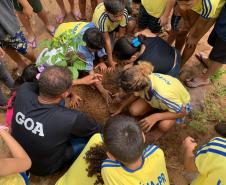 Ações elaboradas pelo IAT no Estado recuperaram mais de 6 hectares de mata ciliar em Áreas de Proteção Ambiental (APP)