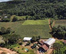 No Noroeste do Paraná, IAT organiza primeiro mutirão para regularização do CAR
