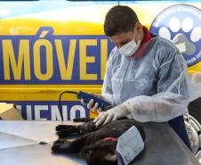 Foto de veterinário do Castrapet