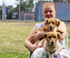 Foto de mulher com cachorros no Castrapet