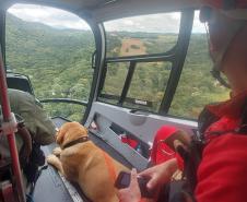 Foto de interior de helicóptero sobrevoando trilha