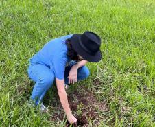 Ações ambientais para comemorar o Dia do Rio preveem a restauração de quatro hectares de mata ciliar em diferentes pontos do Paraná.
