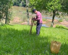 Ações ambientais para comemorar o Dia do Rio preveem a restauração de quatro hectares de mata ciliar em diferentes pontos do Paraná.