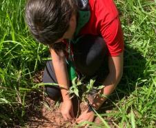Ações ambientais para comemorar o Dia do Rio preveem a restauração de quatro hectares de mata ciliar em diferentes pontos do Paraná.