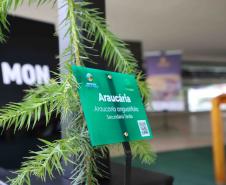 MON se transforma na casa da "muda 10 milhões" do programa Paraná Mais Verde