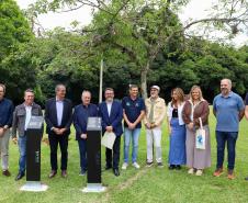MON se transforma na casa da "muda 10 milhões" do programa Paraná Mais Verde
