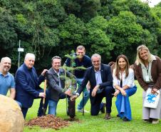 MON se transforma na casa da "muda 10 milhões" do programa Paraná Mais Verde