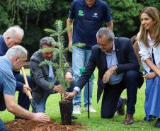 MON se transforma na casa da "muda 10 milhões" do programa Paraná Mais Verde