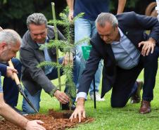 MON se transforma na casa da "muda 10 milhões" do programa Paraná Mais Verde
