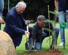 MON se transforma na casa da "muda 10 milhões" do programa Paraná Mais Verde