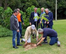 MON se transforma na casa da "muda 10 milhões" do programa Paraná Mais Verde