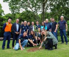 MON se transforma na casa da "muda 10 milhões" do programa Paraná Mais Verde