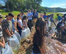 Na primeira fase do Rio Vivo, entre 2021 e 2022, foram soltos 1,1 milhão de peixes nativos no Iguaçu. 